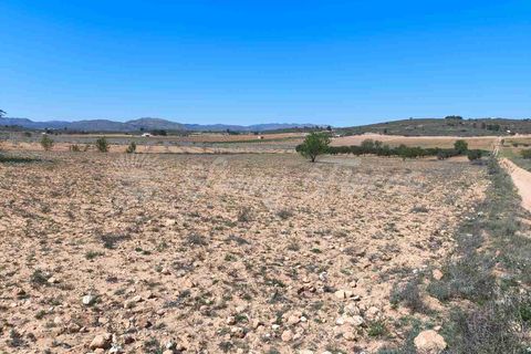 Helårsgrund i Yecla, Murcia, Yecla - € 26.500 | Ref: SF0526 - foto 4